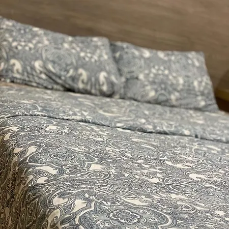 Πανσιόν Sriindo Arroios *